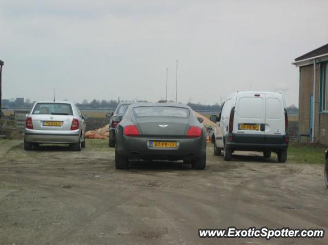 Bentley Continental spotted in Amsterdam, Netherlands