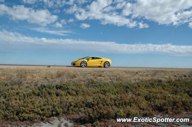 Lamborghini Gallardo spotted in Tailem Bend, Australia