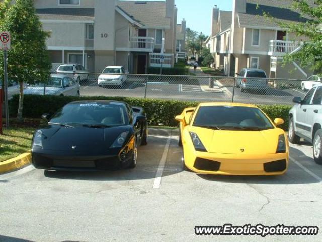 Lamborghini Gallardo spotted in Orlando, Florida