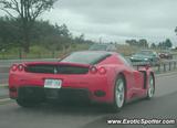 Ferrari Enzo