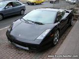 Lamborghini Gallardo