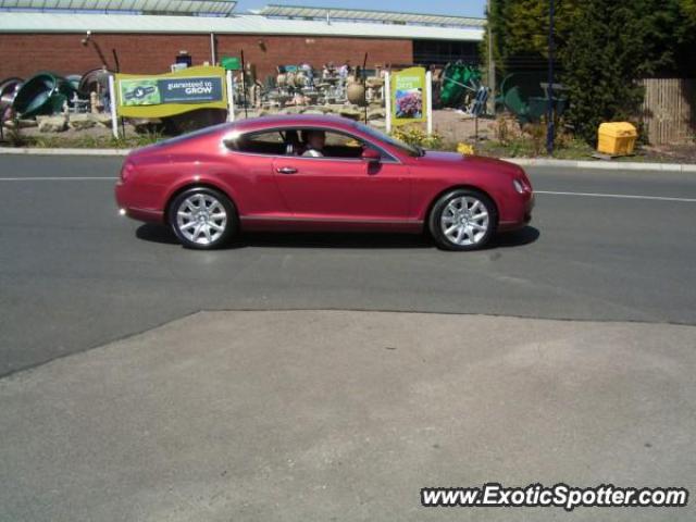 Bentley Continental spotted in Hagley, United Kingdom