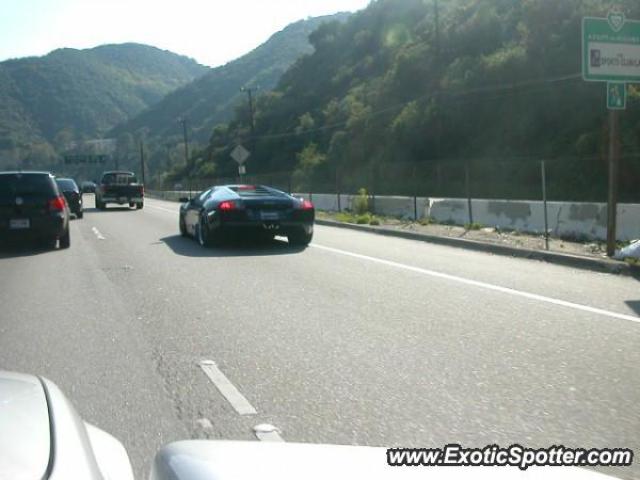 Lamborghini Murcielago spotted in Westwood, California