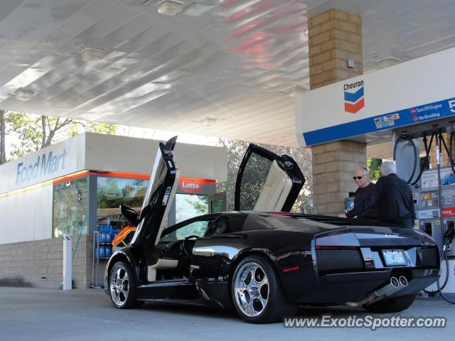 Lamborghini Murcielago spotted in Orinda, California