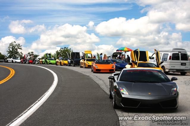 Lamborghini Gallardo spotted in Upstate, New York