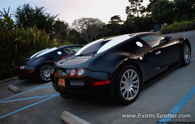 Bugatti Veyron spotted in Carmel, California