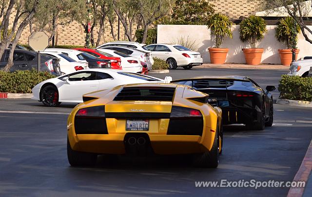 Lamborghini Murcielago spotted in Newport Beach, California