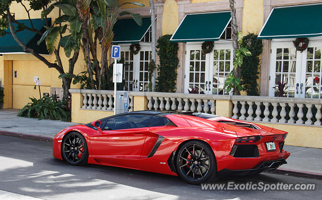 Lamborghini Aventador spotted in Palm Beach, Florida