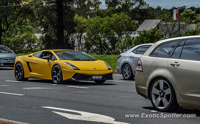 Lamborghini Gallardo spotted in Sydney, Australia