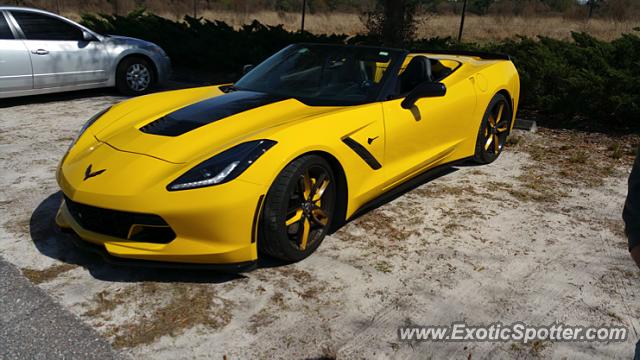 Chevrolet Corvette Z06 spotted in Lutz, Florida