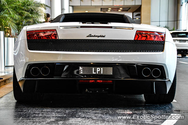 Lamborghini Gallardo spotted in Sydney, Australia