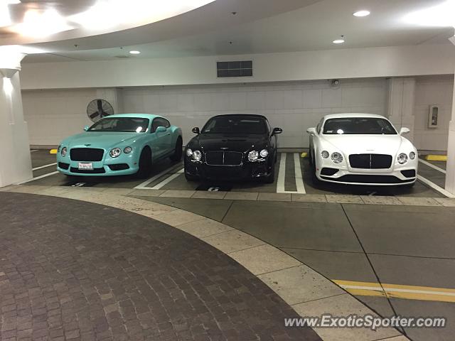 Bentley Continental spotted in Los Angeles, California