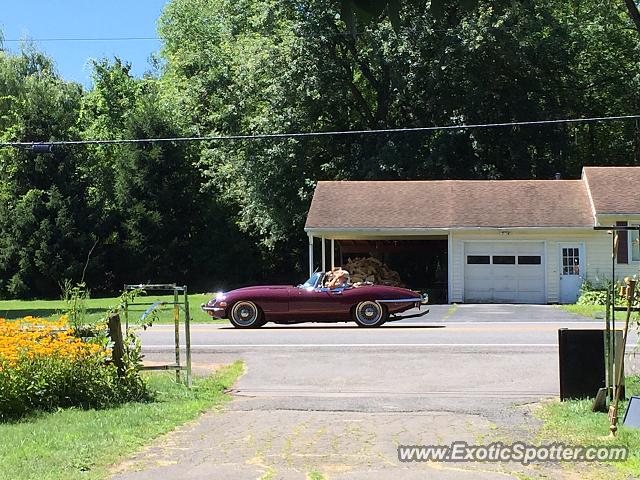 Jaguar E-Type spotted in Sodus, New York