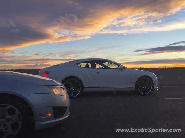 Bentley Continental spotted in Albuquerque, New Mexico