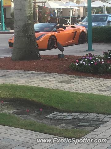 Lamborghini Gallardo spotted in Boca Raton, Florida