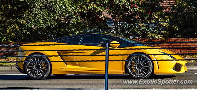 Lamborghini Gallardo spotted in Sydney, Australia