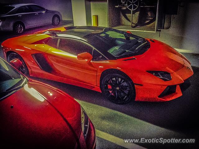 Lamborghini Aventador spotted in Vienna, Virginia