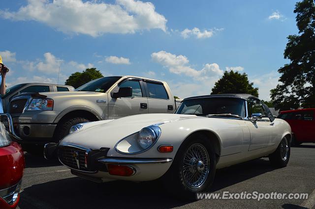 Jaguar E-Type spotted in Watkins Glen, New York