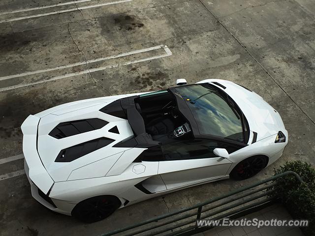 Lamborghini Aventador spotted in Beverly Hills, California