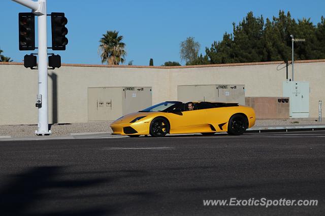 Lamborghini Murcielago spotted in Scottsdale, Arizona