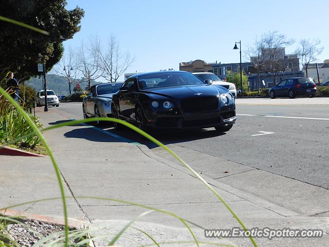 Bentley Continental spotted in Tiburon, California