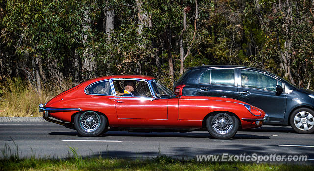 Jaguar E-Type spotted in Sydney, Australia