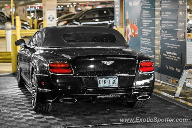 Bentley Continental spotted in McLean, Virginia