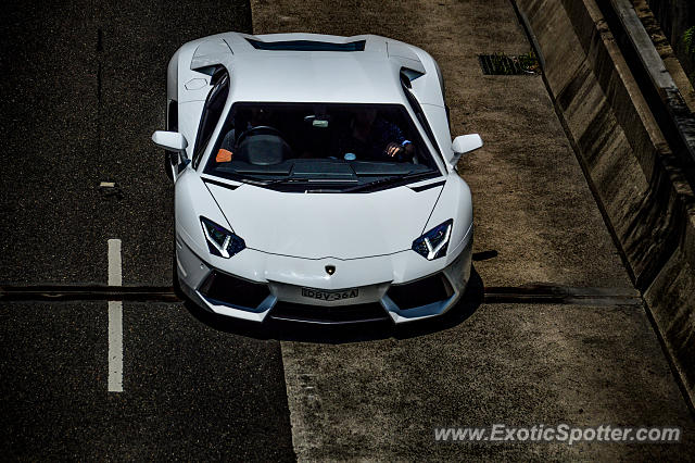 Lamborghini Aventador spotted in Sydney, Australia