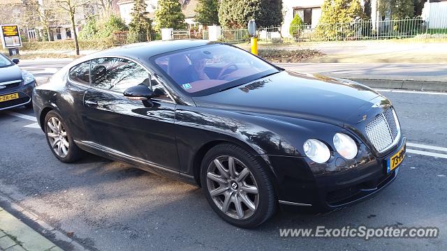 Bentley Continental spotted in Doetinchem, Netherlands