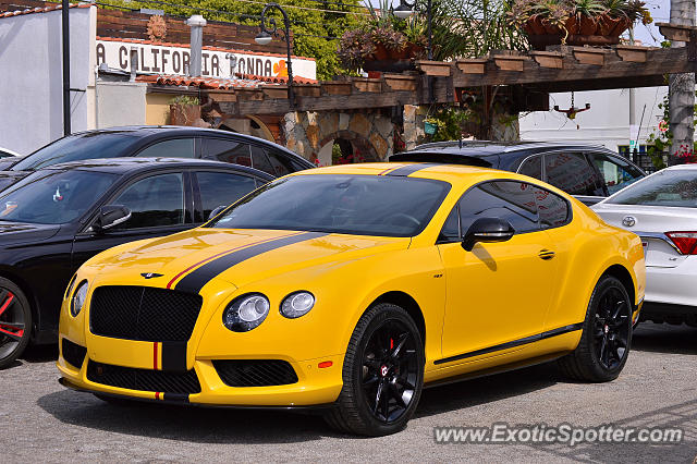 Bentley Continental spotted in Los Angeles, California