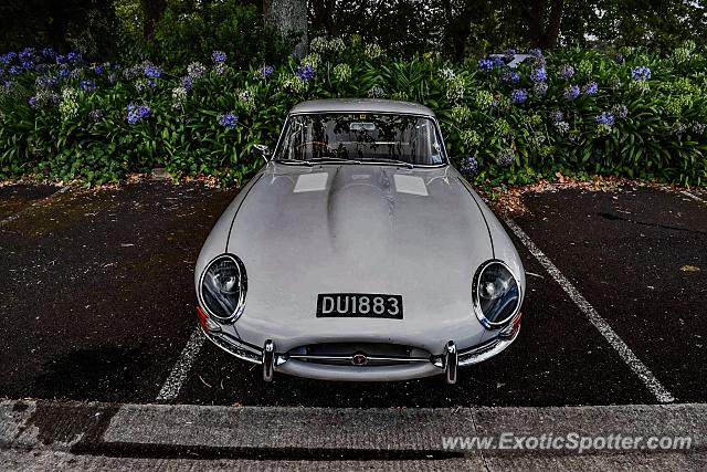 Jaguar E-Type spotted in Auckland, New Zealand