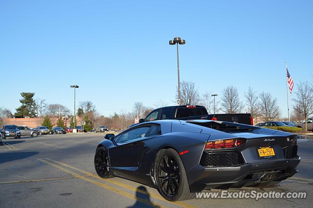 Lamborghini Aventador spotted in Pittsford, New York