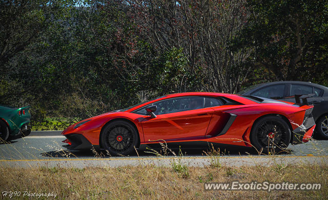 Lamborghini Aventador spotted in Carmel, California