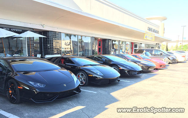 Lamborghini Murcielago spotted in Houston, Texas