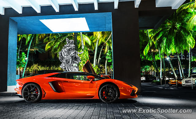 Lamborghini Aventador spotted in Bal Harbour, Florida