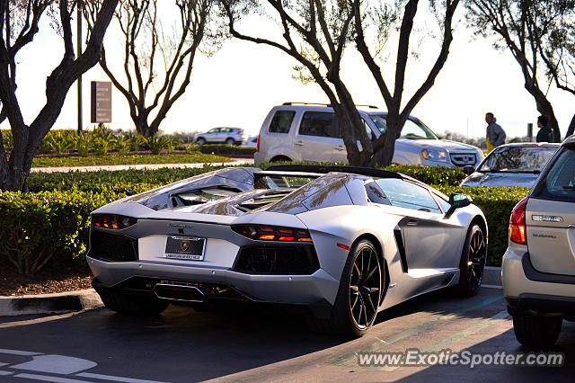 Lamborghini Aventador spotted in Newport Beach, California