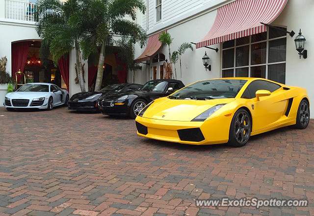 Lamborghini Gallardo spotted in Celebration, Florida