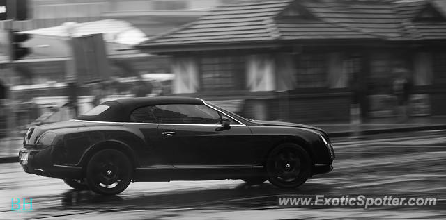 Bentley Continental spotted in Auckland, New Zealand