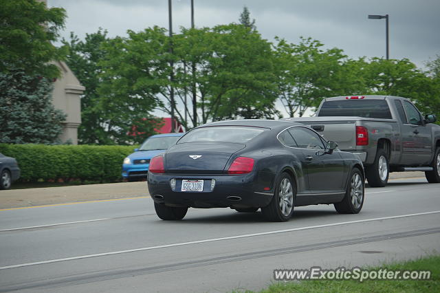 Bentley Continental spotted in Frankfort, Kentucky