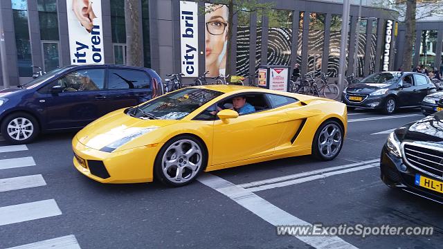 Lamborghini Gallardo spotted in Rotterdam, Netherlands