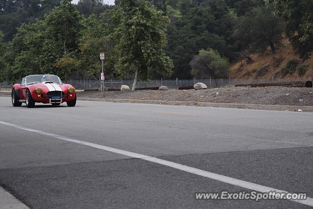 Shelby Cobra spotted in Pasadena, California
