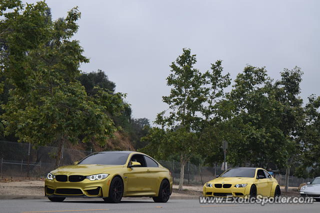 BMW M5 spotted in Pasadena, California