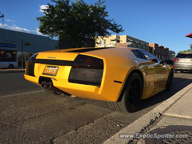 Lamborghini Murcielago spotted in Albuquerque, New Mexico