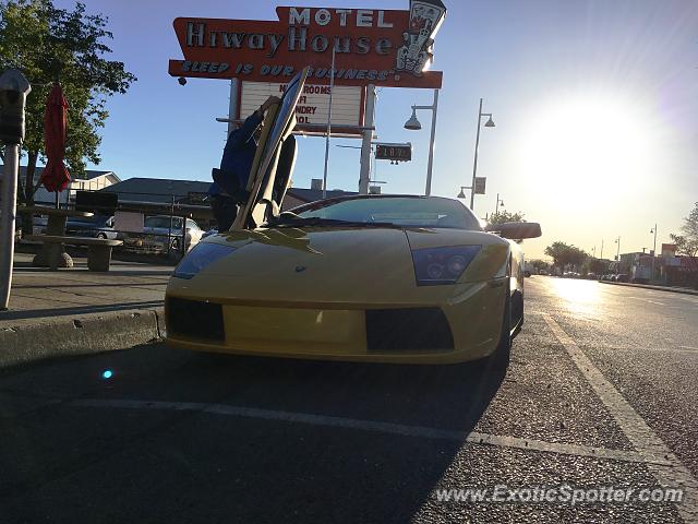 Lamborghini Murcielago spotted in Albuquerque, New Mexico