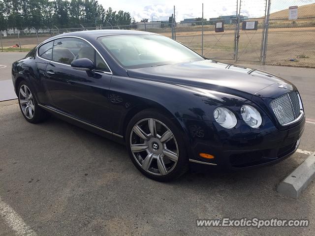 Bentley Continental spotted in Sunnyvale, California