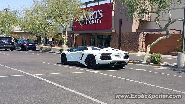 Lamborghini Aventador spotted in Scottsdale, Arizona