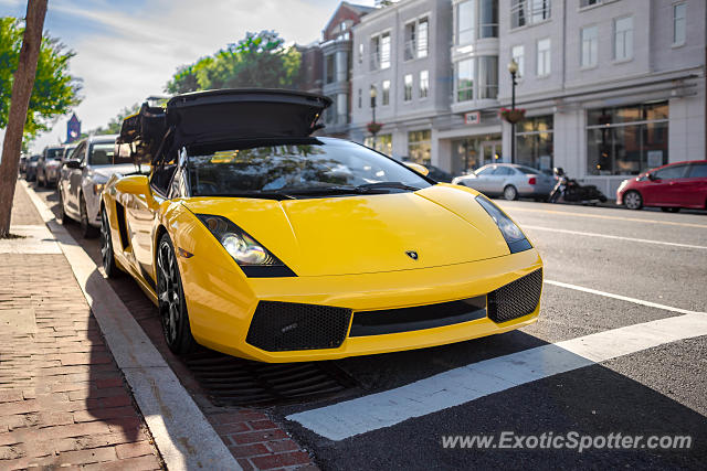 Lamborghini Gallardo spotted in Arlington, Virginia