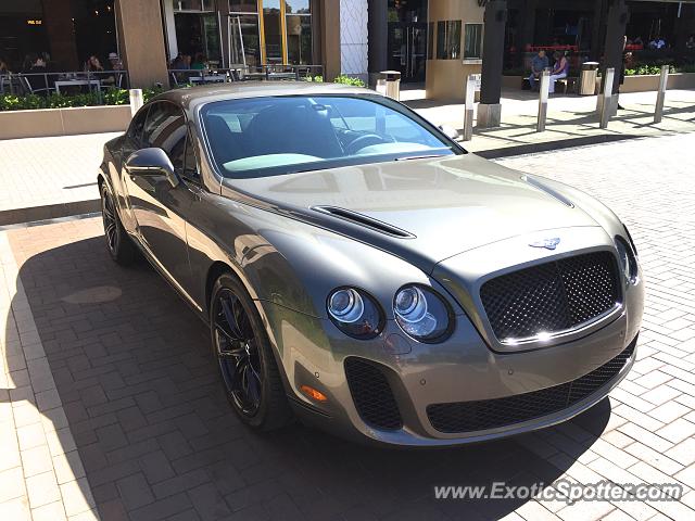 Bentley Continental spotted in Denver, Colorado