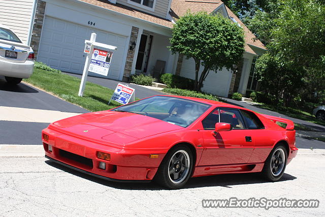 Lotus Esprit spotted in Palatine, Illinois