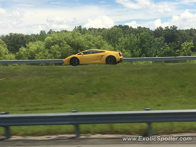 Lamborghini Gallardo spotted in Orlando, Florida